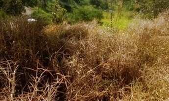 Imagem 7: Terreno em Condomínio para Venda - 153