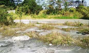 Imagem 6: Terreno comercial à venda, 36.657m², Jardim dos Pimentas, Guarulhos