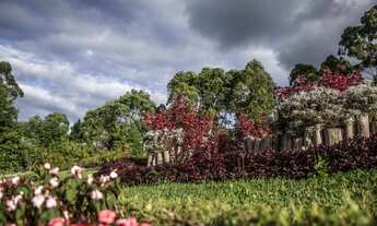 Imagem 5: Terreno para Venda em Teresópolis, Fazenda Suiça