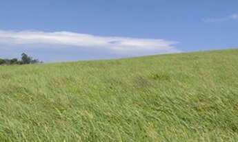 Imagem 3: G15-Vendo terreno de 5,000m2 em Jacarei !!