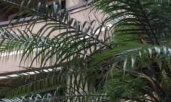 Imagem: APARTAMENTO MARAVILHOSO NO ALTO DA RUA BELO