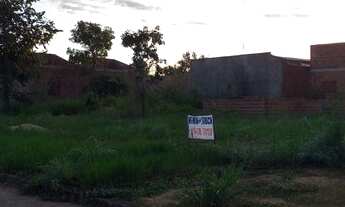 Imagem 4: Loteamento /palmas sul Empreendimento Lote/Terreno para venda tem 250 m2 - Palmas - TO