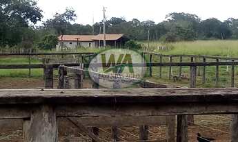 Imagem 6: Fazenda localizada entre Lagoa da confusão e Cristalândia-TO