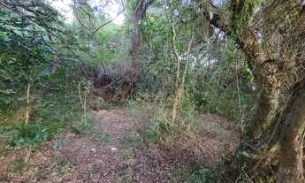 Imagem 6: Velleda oferece excelente sítio, 3 hectares, próximo do asfalto, Águas Claras