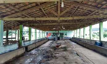 Imagem 6: Fazenda c/ 6 dorm à venda c/ 55 alqueires por R$ 8.000.000,00 - Area Rural - Descalvado/SP