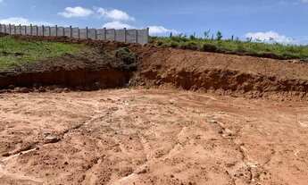 Imagem 2: Invista em tetrenos