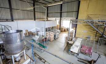 Imagem 5: 0 - Galpão - Distrito Agroindustrial de Aparecida de Goiânia