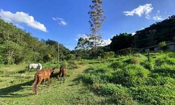 Imagem 3: Fazenda à venda, 4 Quartos, 2 galpões, casa para caseiro, 240000M², Bairro dos Gonçalves