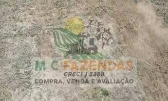 Imagem 7: Fazenda à Venda em Jeremoabo - BA | 1.424 Hectares