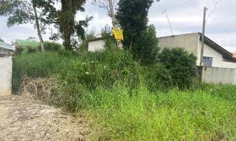 Imagem 4: Terreno Coroados