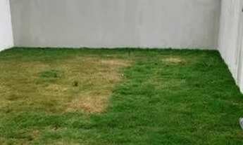 Imagem 4: Casa Duplex para Venda em Florianópolis, Ingleses do Rio Vermelho, 3 dormitórios, 3 suítes