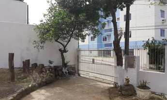 Imagem 6: Vendo Casa 3 Quartos Terreno Grande