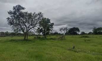 Imagem 7: Fazenda 1095 ha Rio Negro/MS