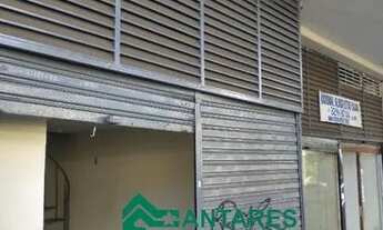 Imagem: 2 lojas separadas à venda - 1 alugada com