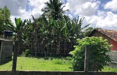 Imagem 4: Vendo terreno em povoado de Itaporanga Povoado Salvador 38.000
