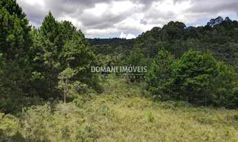 Imagem 3: Ampla Área de Terreno à Venda na Região do Alto da Boa Vista - Campos do Jordão/SP
