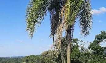 Imagem 3: Lotes em Nova Veneza SC, Condomínio fechado