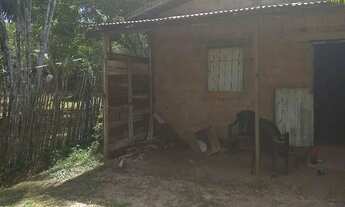 Imagem 3: Vendo sitio em benevides 45 mil