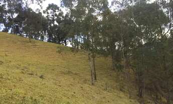 Imagem 5: SÍTIO NO SUL DE MINAS GERAIS