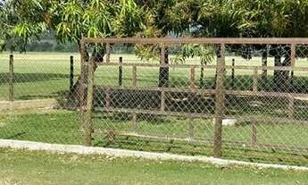 Imagem 2: Fazenda na região de Bom Jardim RJ