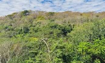 Imagem 3: Casa Condomínio em Ribeirão Preto