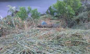 Imagem 6: Terreno em Condomínio Fechado para Venda, localizado na cidade de Igaratá / SP