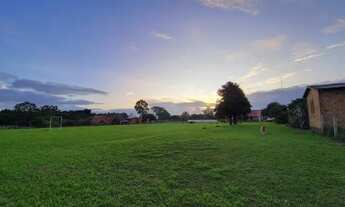 Imagem 4: Velleda oferece excelente sítio, 3 hectares, próximo do asfalto, Águas Claras