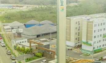 Imagem: PARQUE MOSAICO / VISTA DAS PAINEIRAS