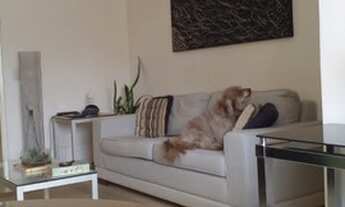 Imagem: Apartamento para aluguel tem 65 metros quadrados