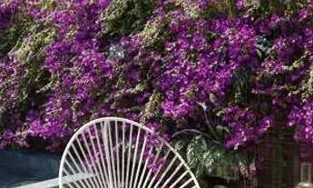 Imagem 4: Terraza Beach Residence o seu Flat com varanda com vista para praia de Tamandaré