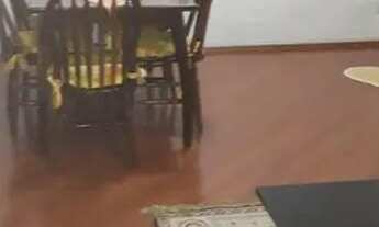 Imagem 5: Casa com 3 dormitórios, sala ampla para 2 ambientes, 2 banheiros, 2 vagas de garagem