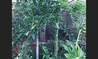 Imagem 3: Vende-se ou Financia uma casa