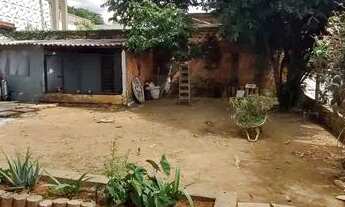 Imagem 2: Arniqueira: Lote 289 m2, planinho/semi murado, colado P.Way ( QUIT.TERRACAP) Quem vê comp