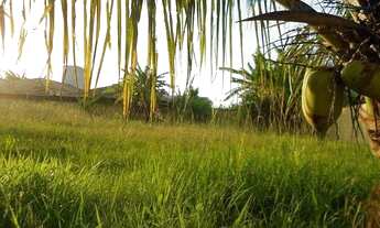Imagem 7: Terreno Residencial à Venda no Santa Mônica, Florianópolis !!