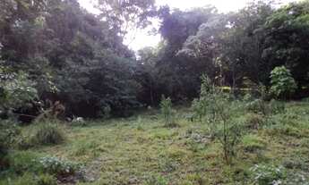 Imagem 3: Mateus Leme - Azurita - (inacreditável