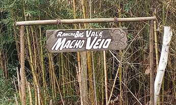 Imagem 4: 4200 mts quadrados com riacho apenas 87 mil reais