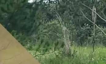 Imagem: Garanta Seu Terreno em São Roque O Melhor