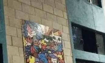 Imagem 6: Chácara urbana em Terra Rica