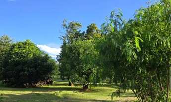 Imagem 7: CHÁCARA 23 mil m2 ESCRITURADA DF