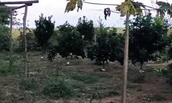 Imagem 6: Chácara 3 alqueires Silvania