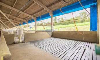 Imagem 14: Granja de Suínos Terminação