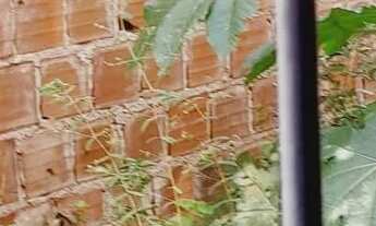 Imagem: Casa no conjunto Maceió 1