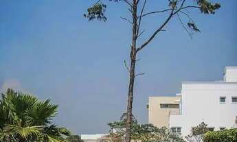 Imagem 4: Casa com 4 suítes, 360 m² - Venda ou Aluguel - Vintage, Granja Viana