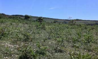 Imagem 6: FAZENDA A VENDA REGIAO DE DIAMANTINA ( 4118