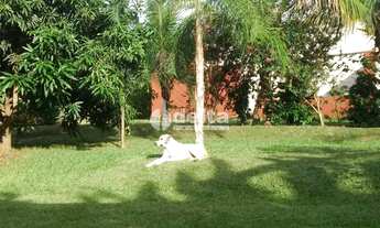 Imagem 6: Chácara disponível para venda no Chácaras Douradinho em Uberlândia-MG