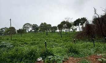 Imagem 7: 70.000m² | Fundo com o Jardim Petrópolis