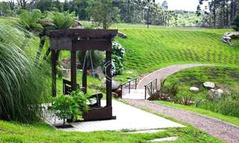 Imagem 4: Terrenos em Condomínio - Pedancino