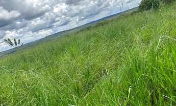 Imagem 3: Fazenda a venda em Mineiros - Goiás!