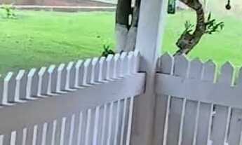 Imagem 2: VENDO SÍTIO NO DISTRITO DA GUIA