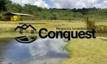 Imagem 3: Linda Fazenda Mista, 12 hectares totalmente aproveitados e produtivos, Cidade Entre rios M